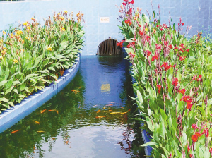 �˹�ʪ�ػ���Ϊ�壨���չ�ע��