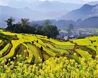 ���ͼƬ������һҳ