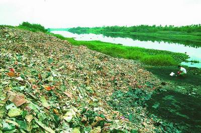 ��������������������(ͼ)