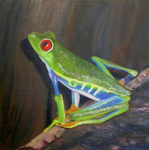 ��ѧ�ҽ�����ɭ��Ѱ�����(��ͼ)