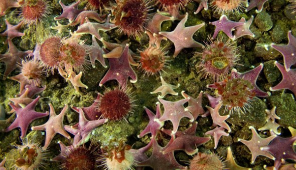 �ϼ�����