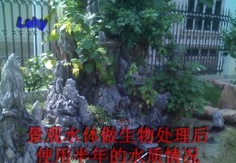 רҵ����ˮ����