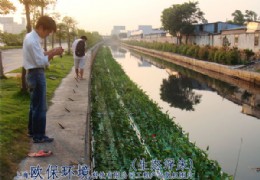 ����������̬����