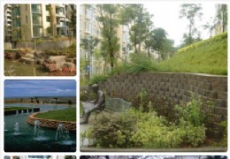 ��̬���۵���ǽ