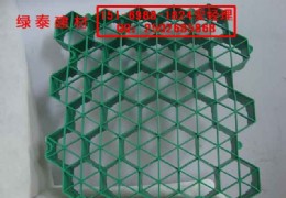 ����ֲ�ݸ�