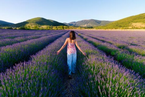 ������̼�塱�����������