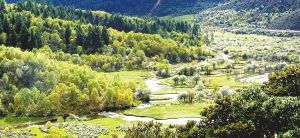 ��̼��չ ���������س���·(��ͼ)