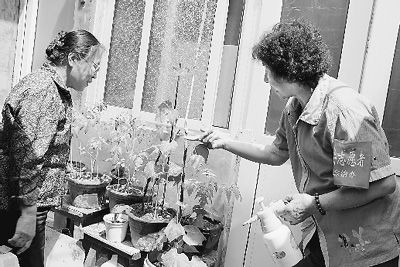 石建华和张春燕交流种菜心得。