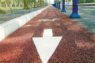 老人们在登步道的同时,还不忘爱护环境。崔力 摄