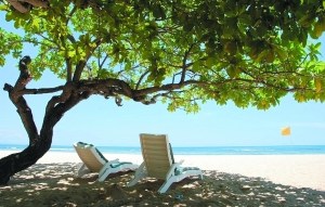 �����Ƕ���;������̼���㼣��̼����֧��