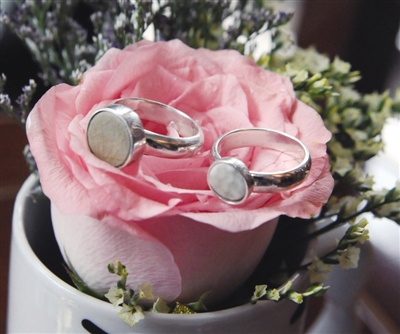 ��̼����1����ָ��건ɺͰ������졣