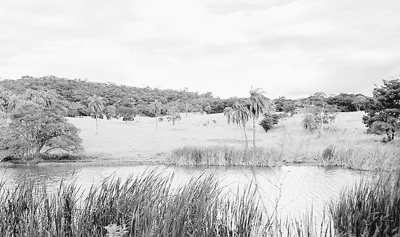 本报记者吴志华摄