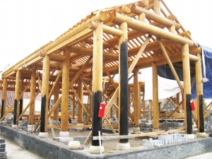 ���ݵ�̼�����ɡ����ѡ�