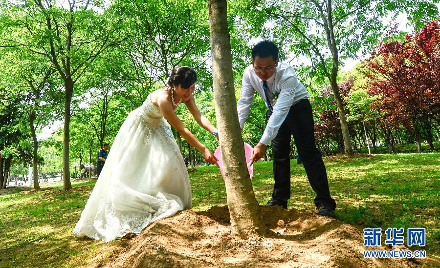 ��̼���������·���ʱ��