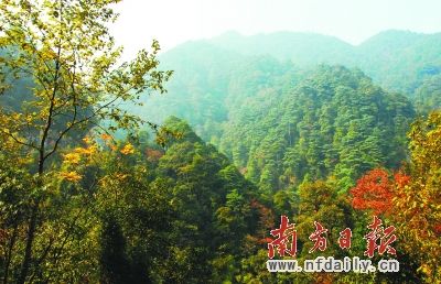 ͨ��ɭ����̬�޸��͸��죬����ɭ�ָ����棬��2017��㶫��ɭ��̼�㴢�����ﵽ12.89�ڶ֡�