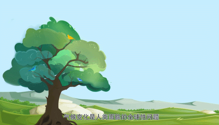 ���� | ���������������ᵽ�ġ�̼��塢̼�к͡���ʲô��