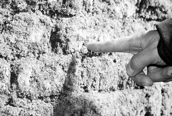 �ຣ�������ֳ���������Ⱦ��Ŀ(ͼ)