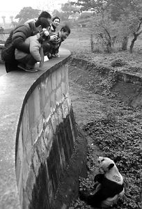 ���춯��԰��ϡ�����С������(ͼ)