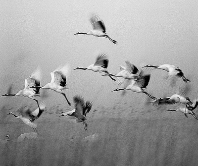 ʪ�أ�������Ȼ��г����ļ�԰(ͼ)