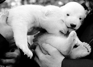 ȫ���ů�����20��󱱼��ܾ��ֺ���ʧ����(ͼ)