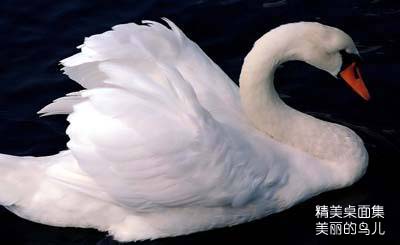 ����ǰ�ߣ�̽�ض�����������칲��(ͼ)