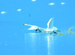 ר�ҿƿ����鱣����ĸ�׺���