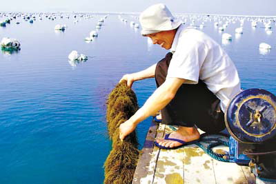 ����+���ࡡ�ɷ��ೱ��������(ͼ)