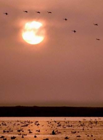 ��ͼ���������ԭ������������