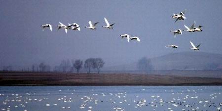 ��ͼ���������ԭ������������