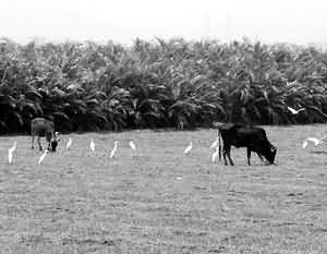 ʪ�����������н�Զ(ͼ)