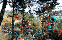 ������ɫ�㶫�������Գ�����ʻ�