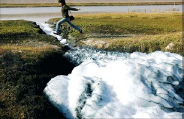 ������ɫ�㶫�������Գ�����ʻ�