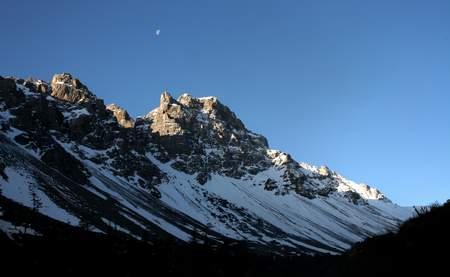 �ɽ����è���������ϴ���Ƿ���ҩ�����ж�