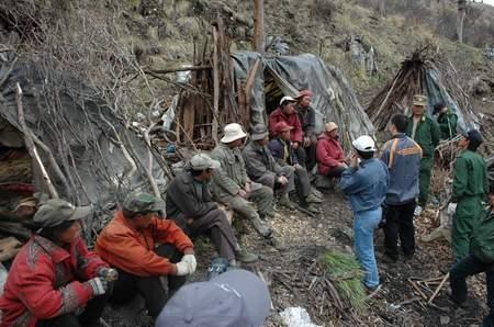 �ɽ����è���������ϴ���Ƿ���ҩ�����ж�