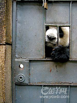 �� ��: 2065632 ������
��Ӱ����: ����
�ļ���:kssctt6732.jpg����
�ļ���С:51K����
�� X ��:400 X 300����
˵��:kssctt6732.jpg