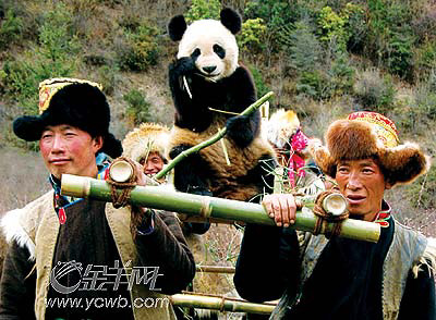 �� ��: 2065607 ������
��Ӱ����: ����
�ļ���:kssctt6741.jpg����
�ļ���С:65K����
�� X ��:294 X 400����
˵��:kssctt6741.jpg