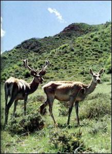 ����������Ȩ��������������