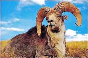 ����������Ȩ��������������