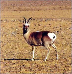 ����������Ȩ��������������