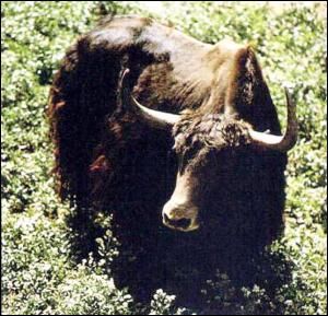 ����������Ȩ��������������