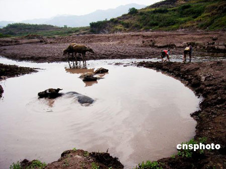 Ԥ�ƾ���ȫ����ˮ�����¸ߴ��庵���ѻ���