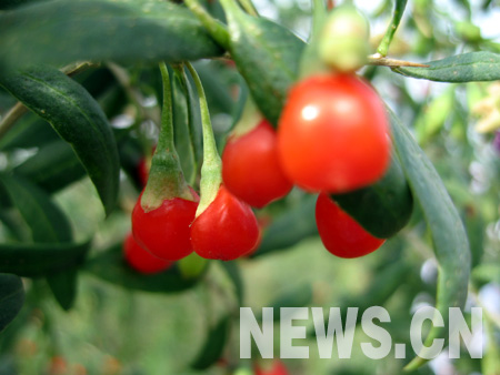 ר��Э�̻���ЭίԱ���������󿪷������ȵ�