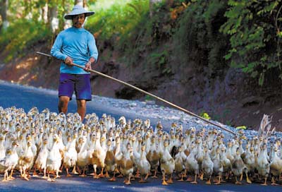 ר��Э�̻���ЭίԱ���������󿪷������ȵ�