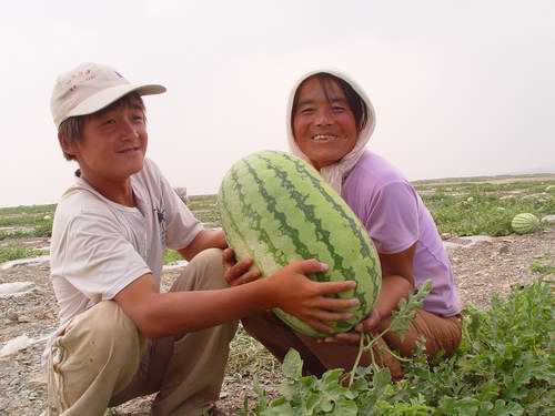 ������ɫũҵ��չѸ��ǰ������