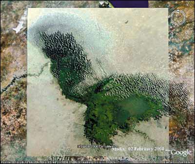 ������վ�ưٷ��Ա�����ͼ����仯����(��ͼ)