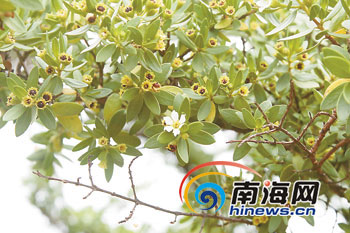 ˮܾ��ȫ������9��