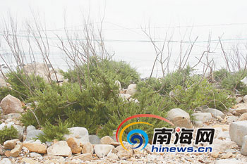 ˮܾ��ȫ������9��