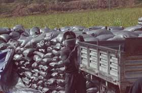 ʮ�����ʯī��ʯȾ����ɽ��ˮ