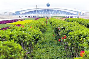 3������131.26ƽ������