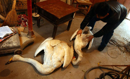 �ƺ���̬�������ƻ���ҵ���ȷ�ֳ������ì��